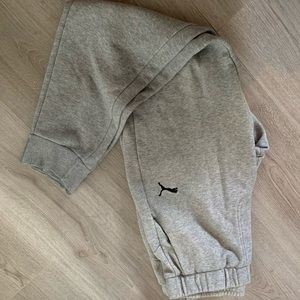 Puma jogging